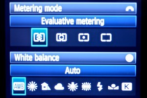 _1000877 - Version 2