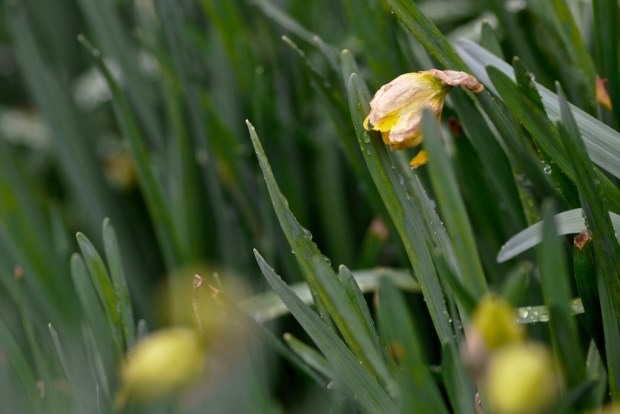 _1010154 - 2010-02-23 at 14-06-34 - Version 2