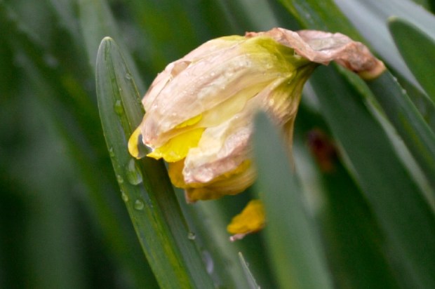 _1010154 - 2010-02-23 at 14-06-34 - Version 3