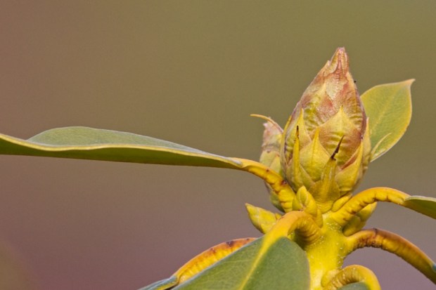 _1010441 - 2010-03-04 at 13-22-42 - Version 2 (1)