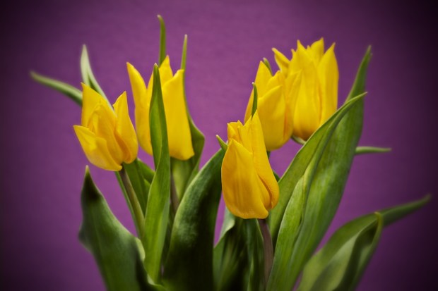 IMG_0436 - 2010-03-19 at 15-14-14 (1)