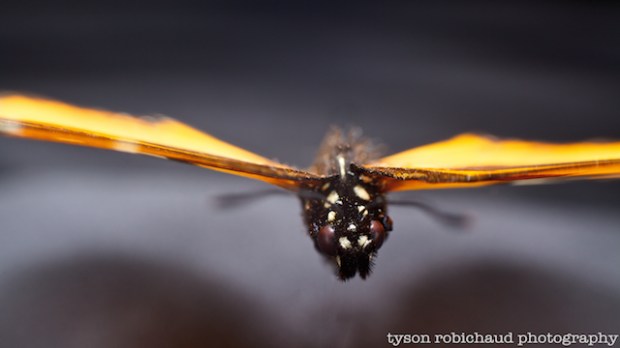 IMG_0687 - Version 2