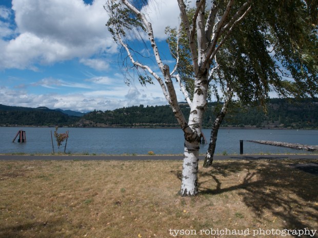 G3 12mm-12-50wide@f-8 1