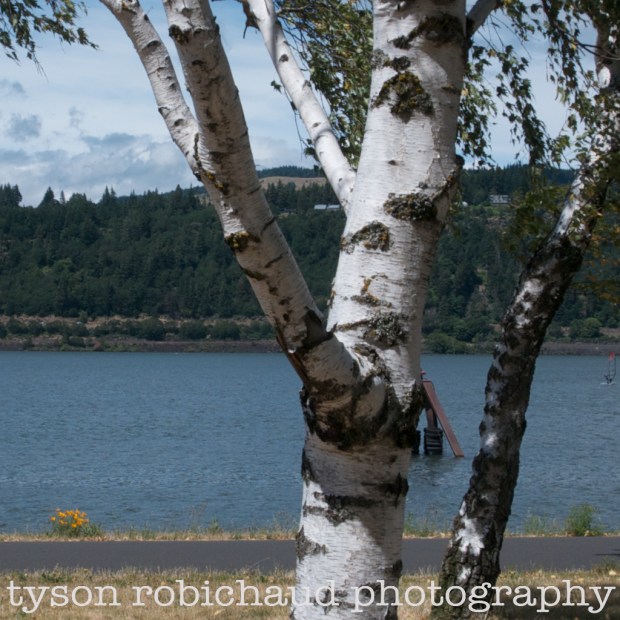 G3 12mm-12-50wide@f-8 2