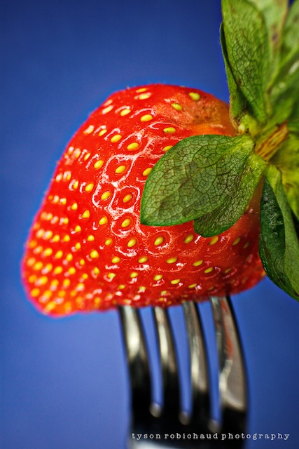 Lensbaby macro converters published in new book