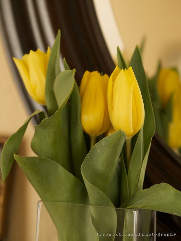 Oly 75mm on the Panasonic G3 (ISO800 1/100sec f/2.5)