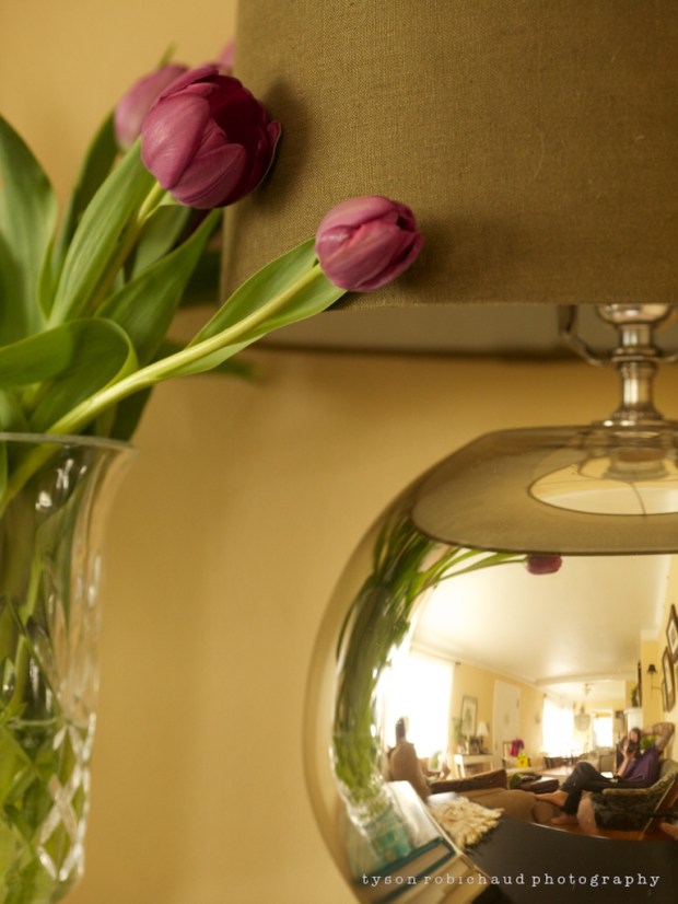 EF 135mm on the EOS 5D (ISO800 1/50sec f/4 - looking at DOF)