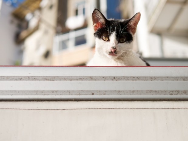 the back patio at O Caraças