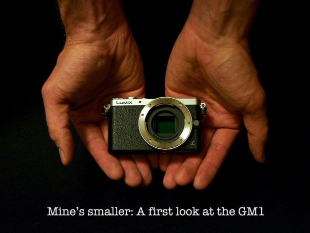 this little piggy...