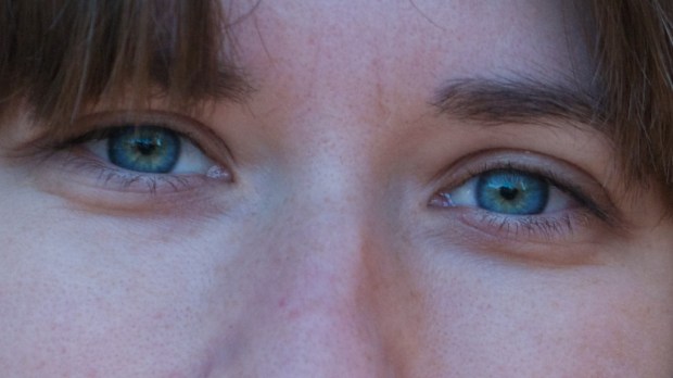 _1500620 - Version 2 (1)