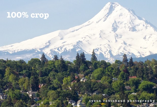 FD55mm @f/4 on Panasonic GX7 - 100% crop