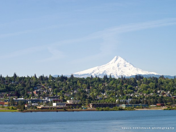 FD55mm @f/4 on Panasonic GX7