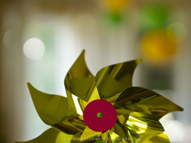 P1050778 - Version 2