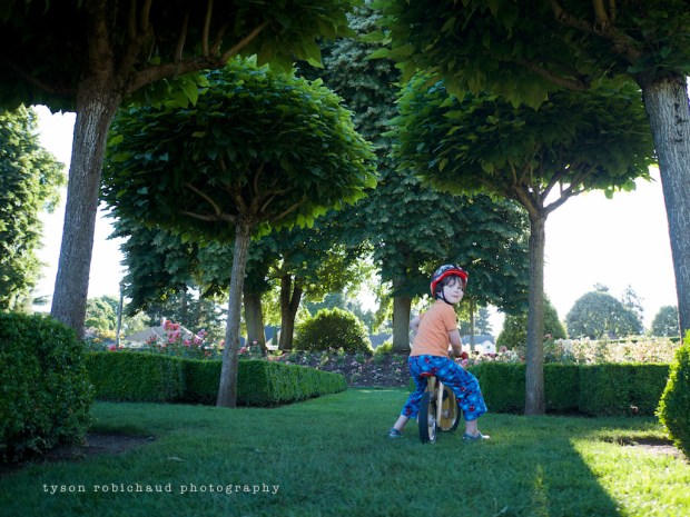 leica 15mm low angle