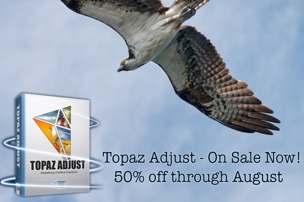 P1120951 - Version 2