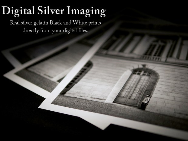 P1140388 - Version 2 copy