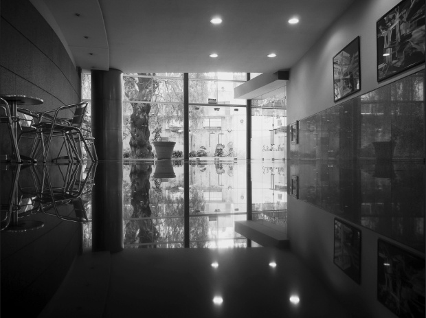 "reflexinaciòn" by Fernando Pereira