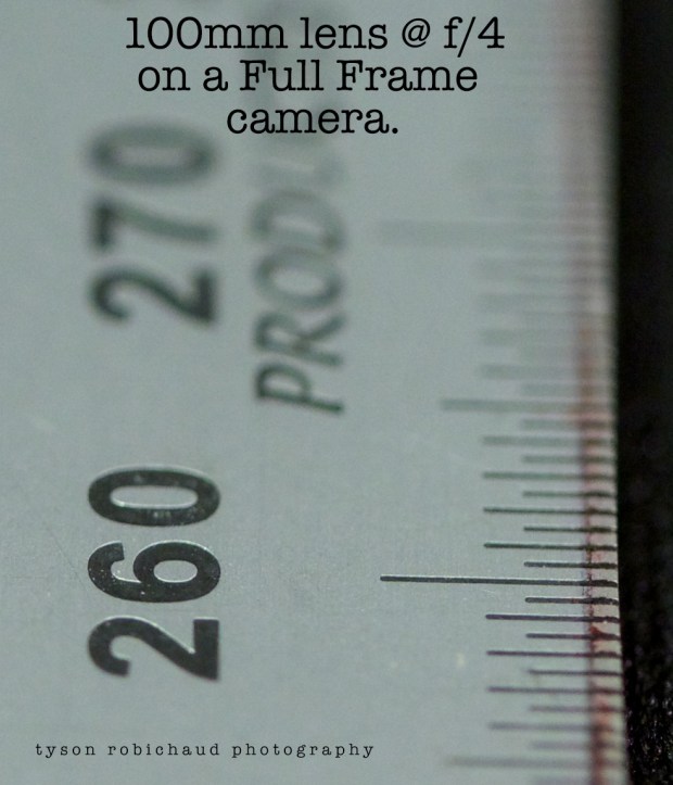 IMG_7125 - Version 2