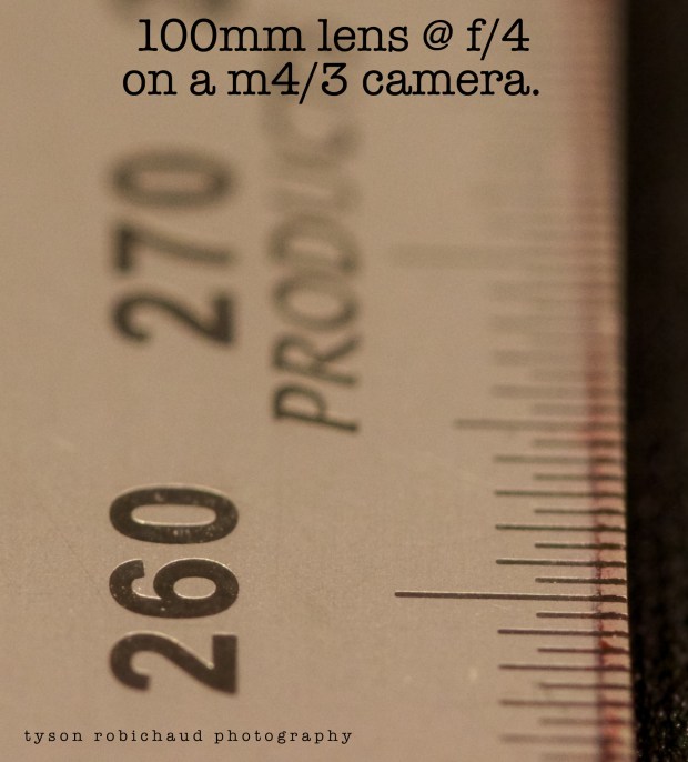 P1110343 - Version 2