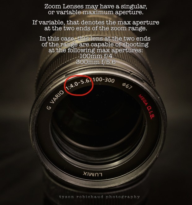 Panasonic 100-300mm zoom lens