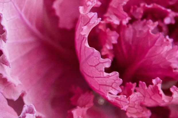 P1180664 - Version 2