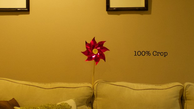 DSC01684 - Version 2