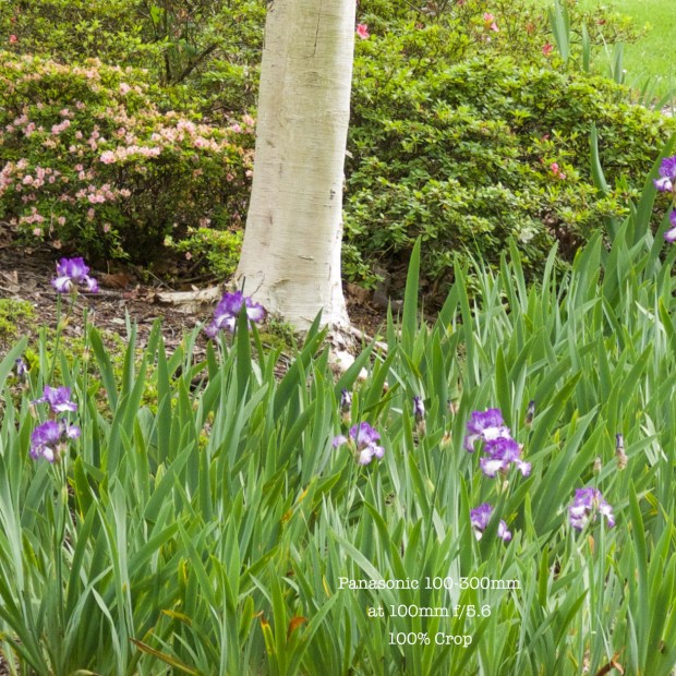 100300-100mm-f56out100crop