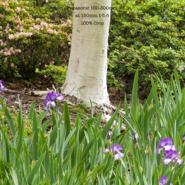 100300-150mm-f56out100crop