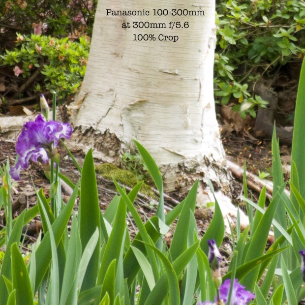 100300-300mm-f56out100crop