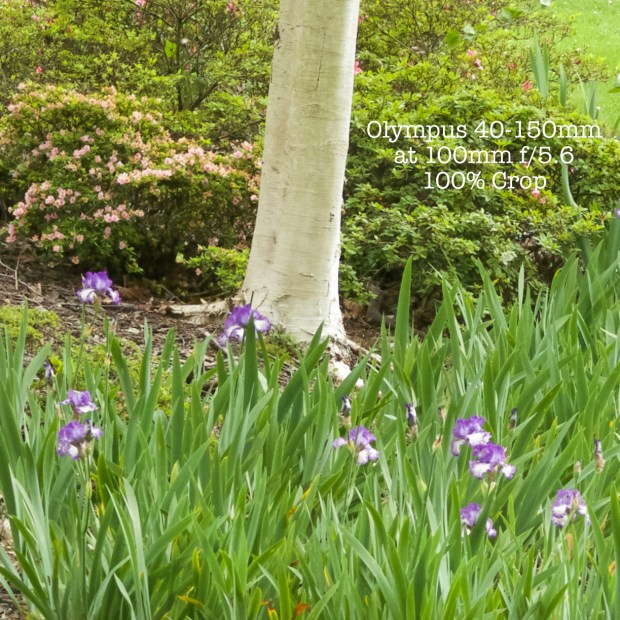 40150-100mm-f56out100crop