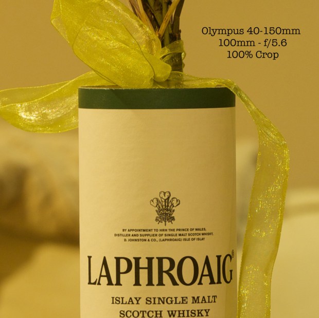 40150-100mmf56 100crop