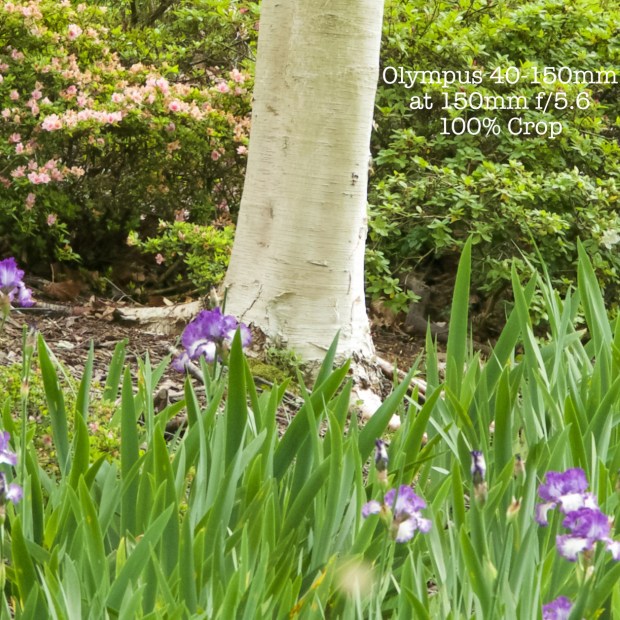 40150-150mm-f56out100crop