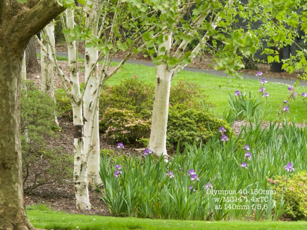 40150MC14-140mm-f56out