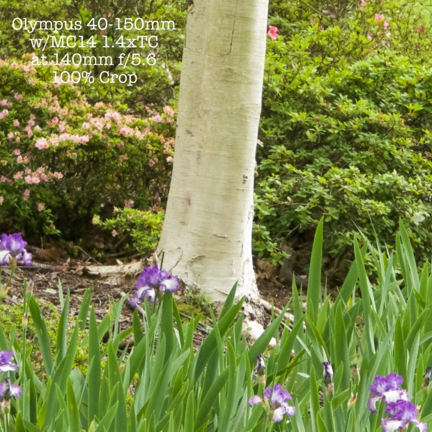 40150MC14-140mm-f56out100crop