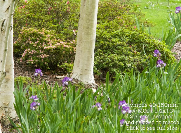 40150MC14-210mm-f-56RESIZE