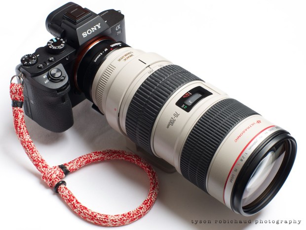 Canon EF 70-200mm f/2.8 L IS USM on Sony a7II
