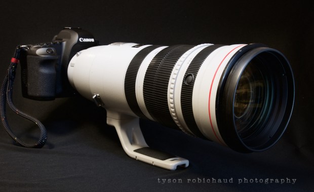 Canon EF 200-400mm f/4 L IS USM on 5Dii