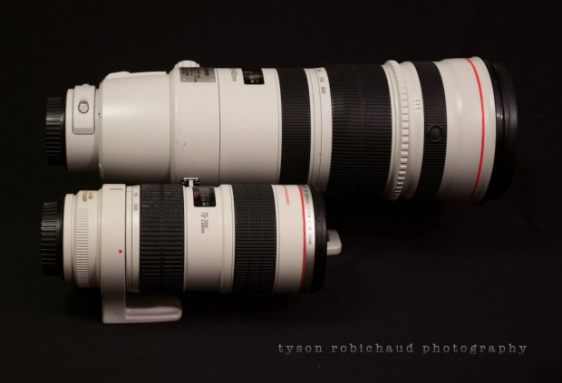 EF 70-200mm f/2.8 L IS USM vs 200-400mm f/4 L IS USM