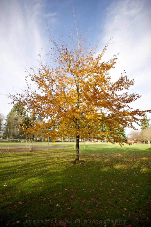 iso100-1.4-1.3200sony